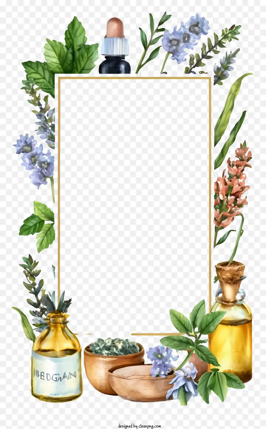 Herbs，лаванда PNG