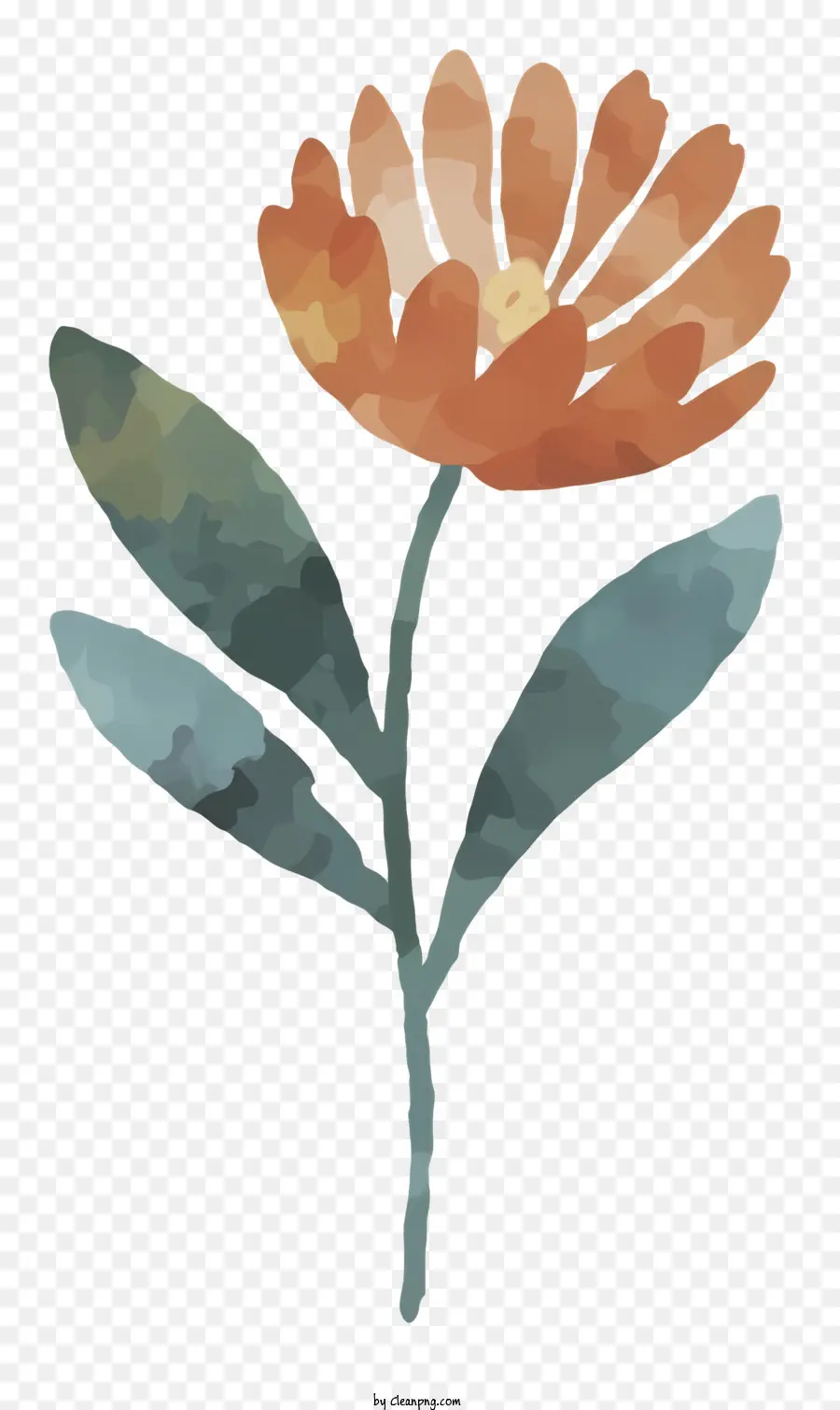 акварель цветок，оранжевый цветок PNG