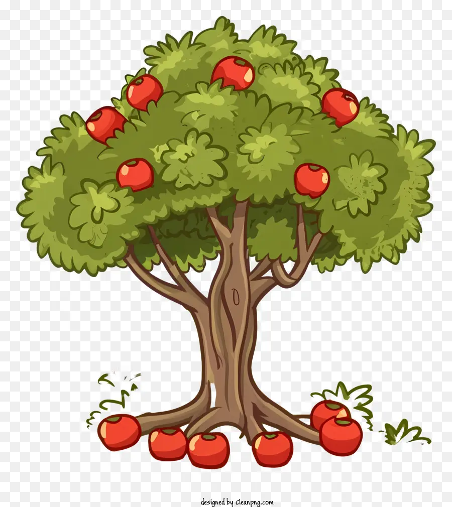 Дерево，Яблоки PNG