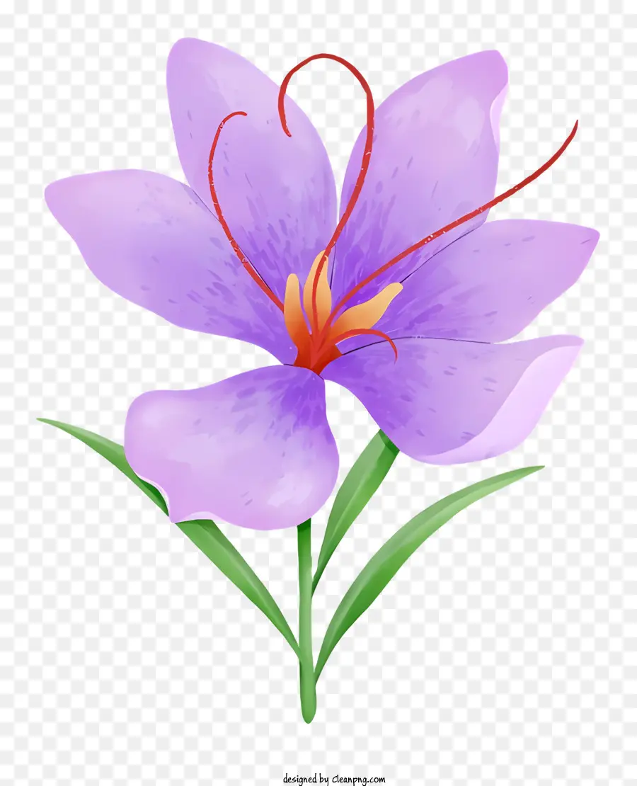 акварельная живопись，фиолетовый цветок PNG