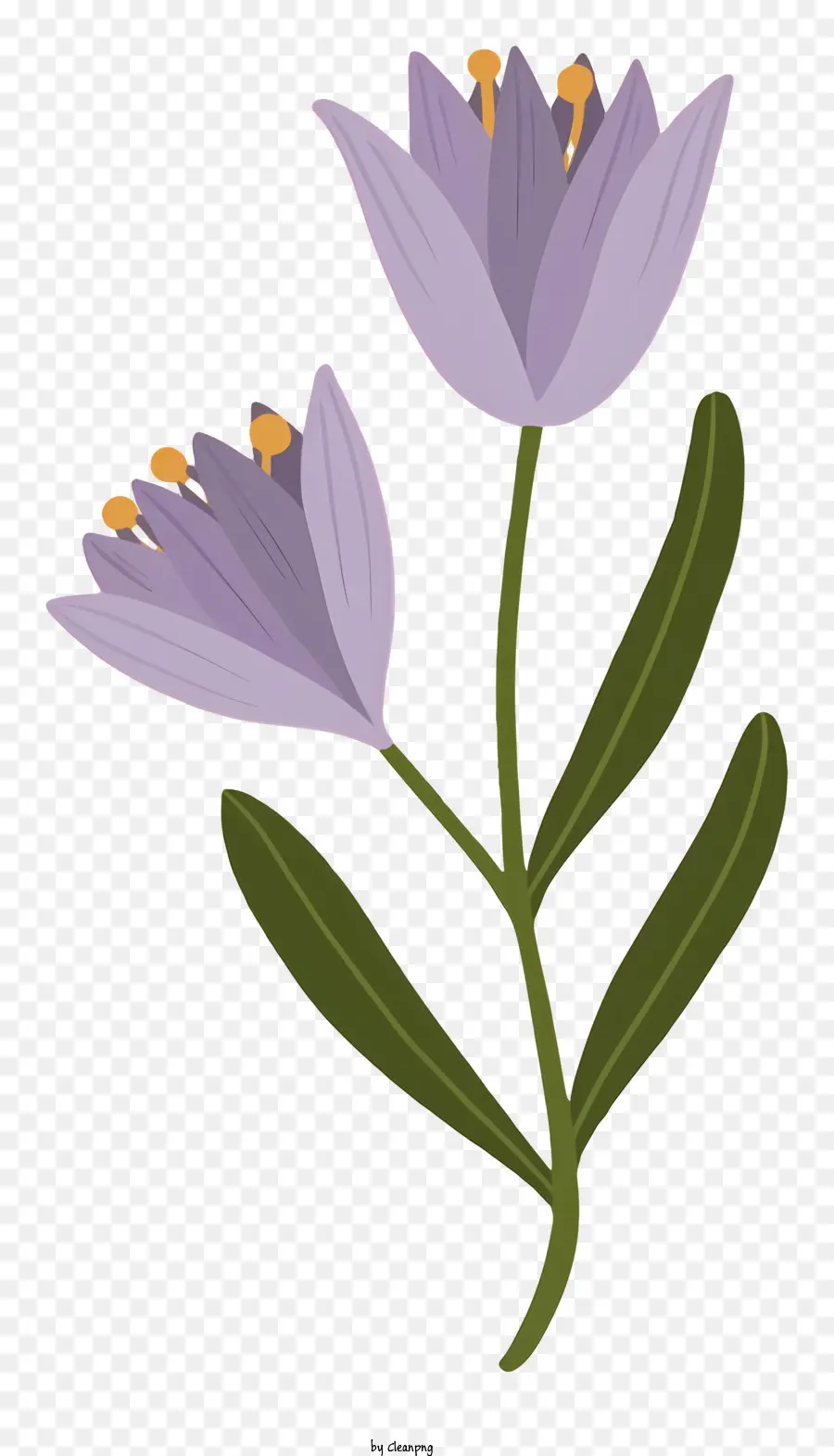фиолетовый цветок，зеленые листья PNG