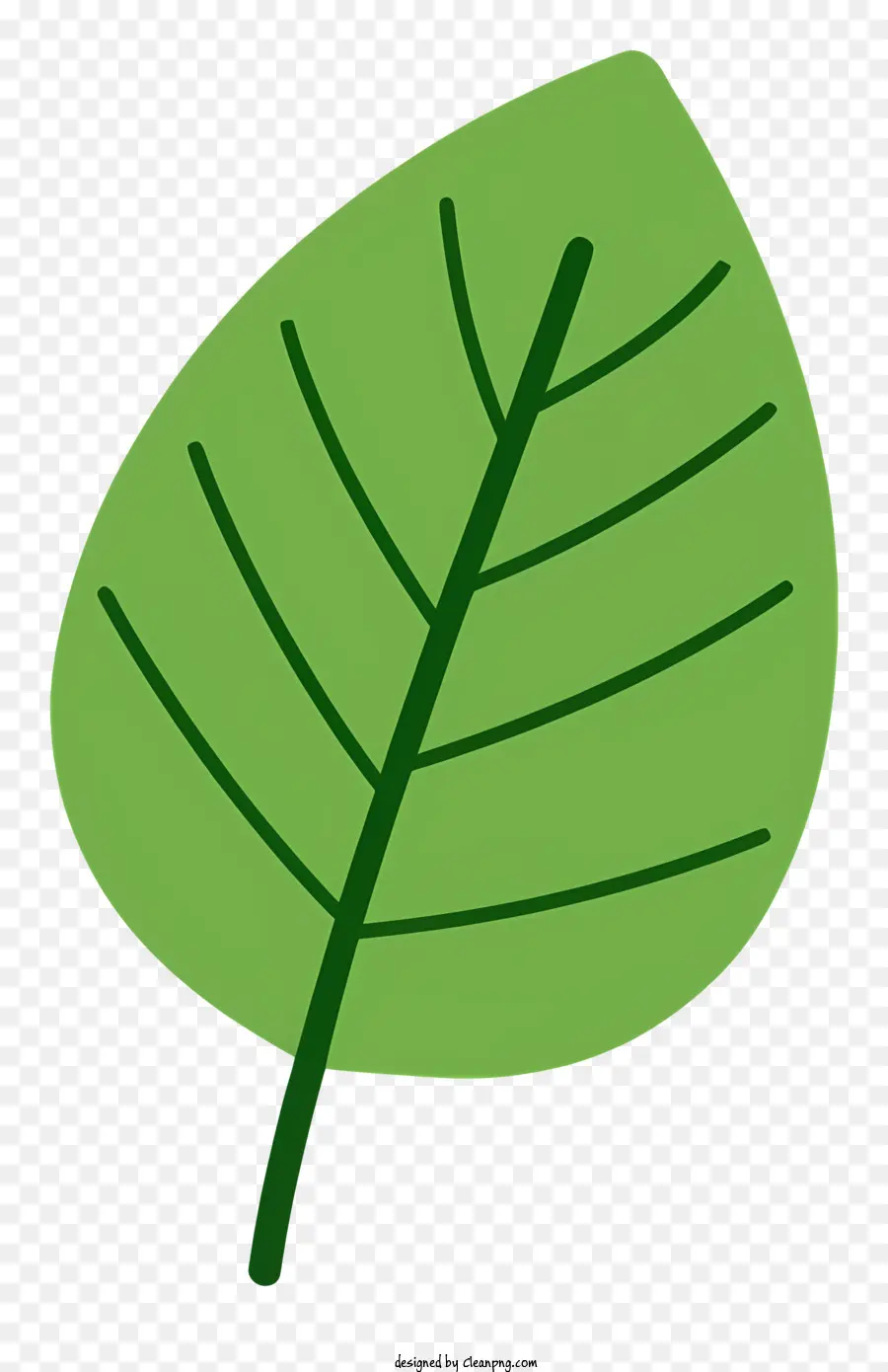 зеленый лист，черный фон PNG