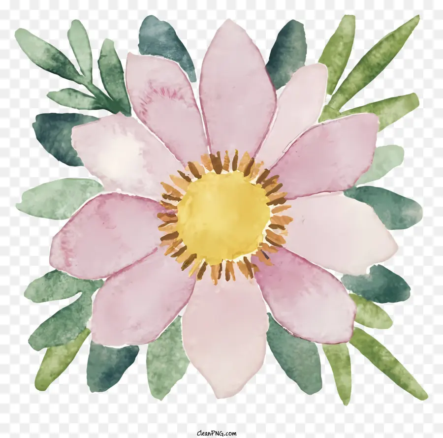 акварельная живопись，розовый цветок PNG