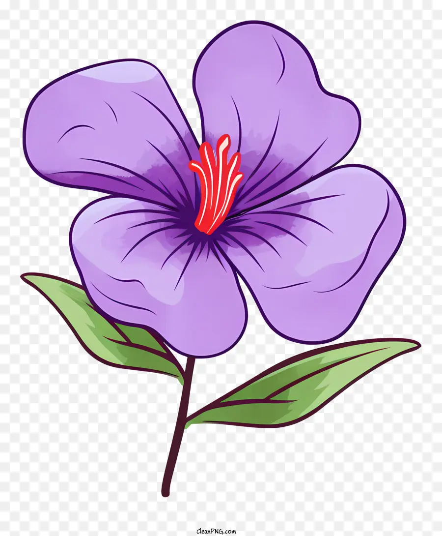 Violet Flower，пять лепестков PNG