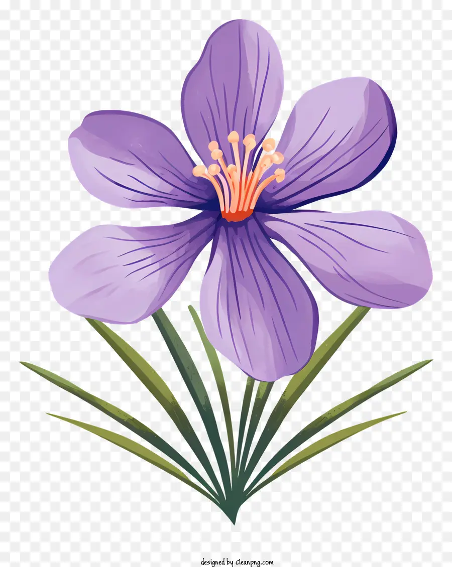 фиолетовый цветок，весенний цветок PNG