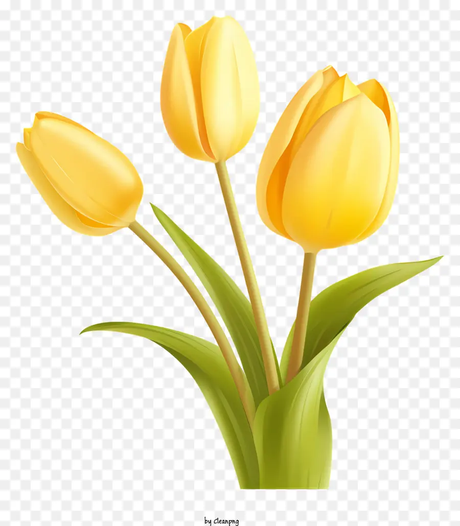 желтые тюльпаны，цветы PNG