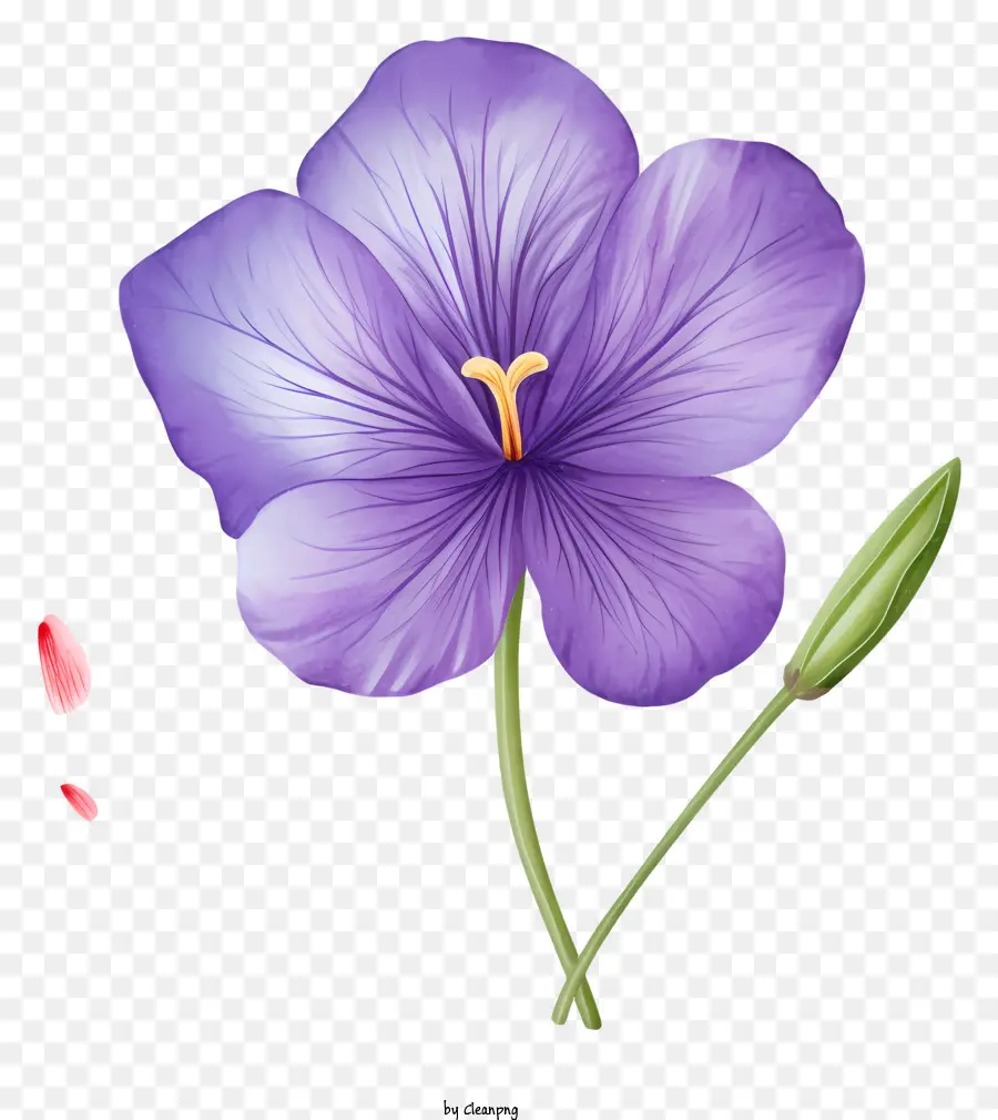 фиолетовый цветок，Розовый центр PNG
