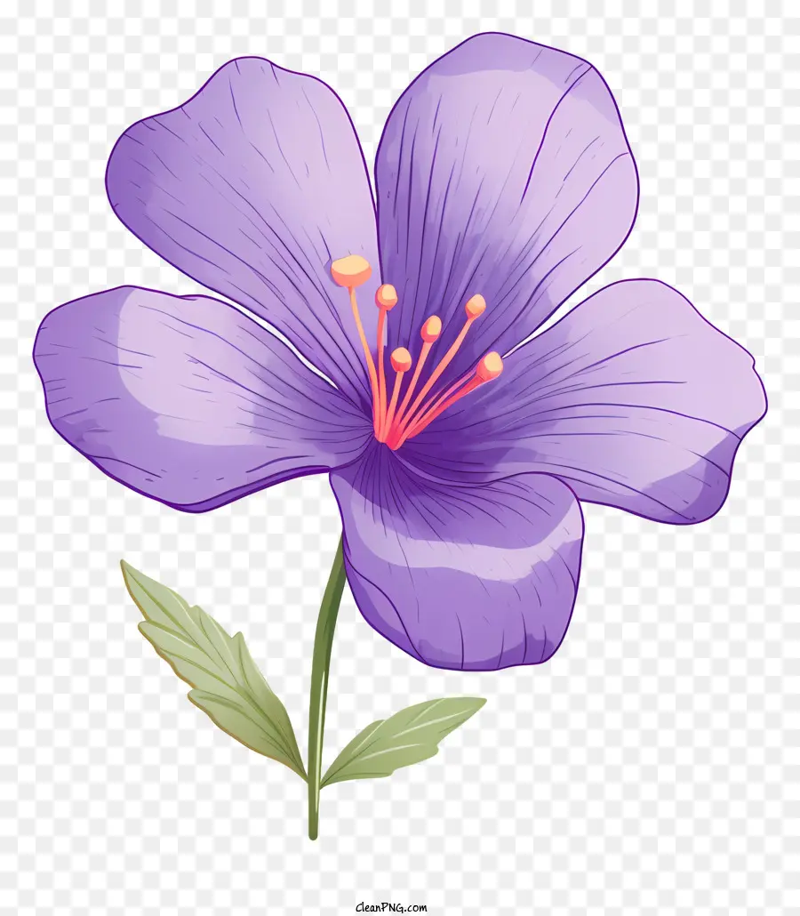 фиолетовый цветок，большой лепесток PNG