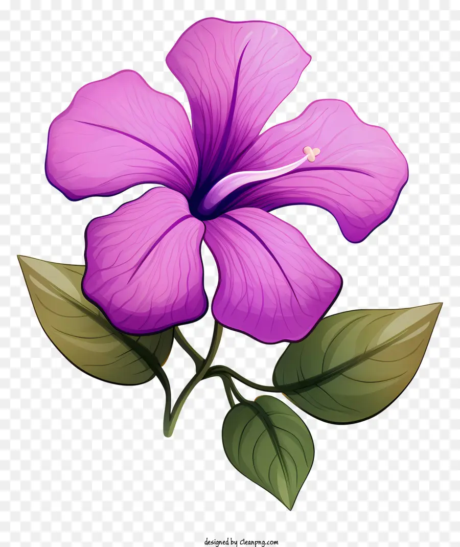 фиолетовый цветок，зеленые листья PNG