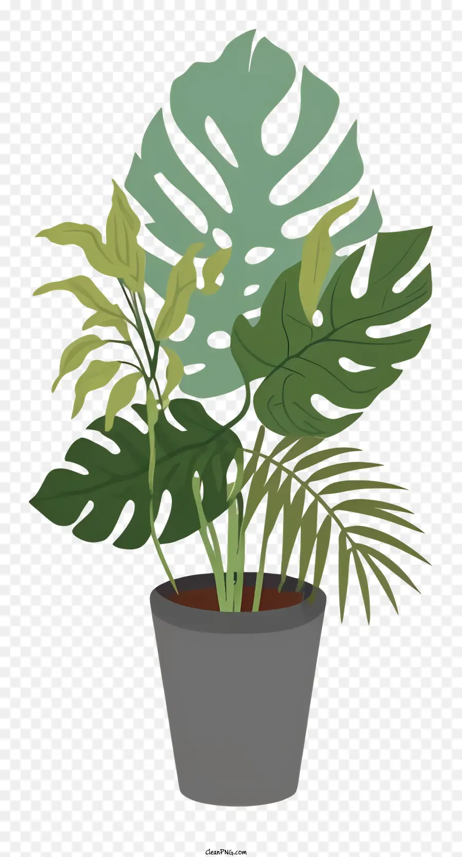 горшечные растения，зеленые листья PNG