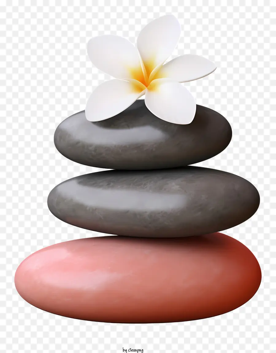 Стоп камешек，розовый и белый цветок PNG