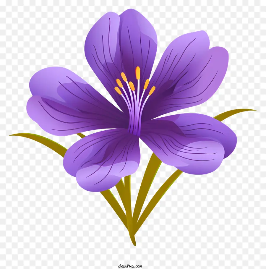 Violet Flower，пять лепестков PNG