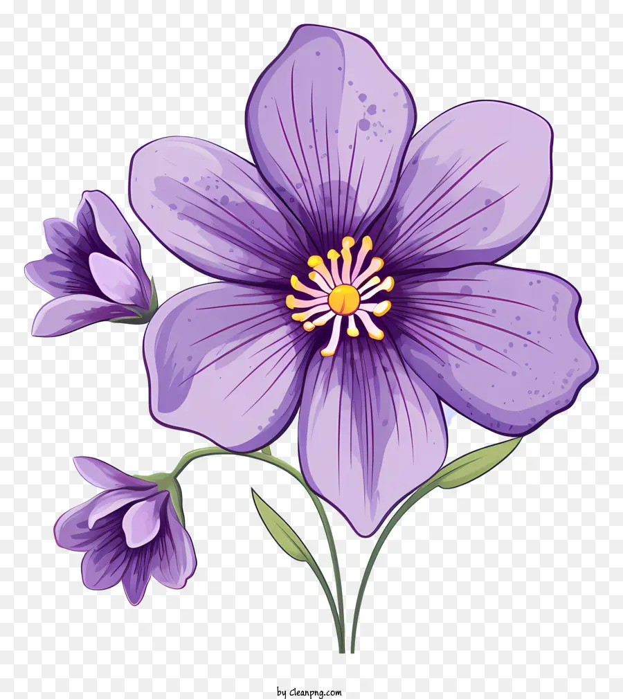 фиолетовый цветок，лепестки PNG