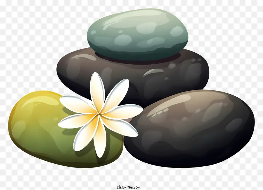 камни，белый цветок PNG