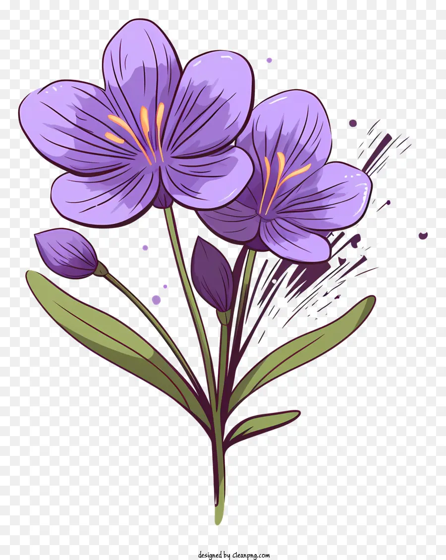 фиолетовый цветок，маленький цветок PNG