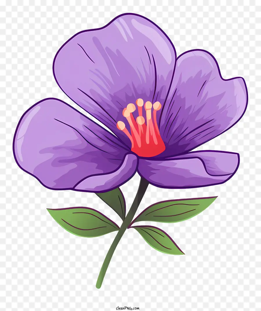 фиолетовый цветок，Розовый центр PNG