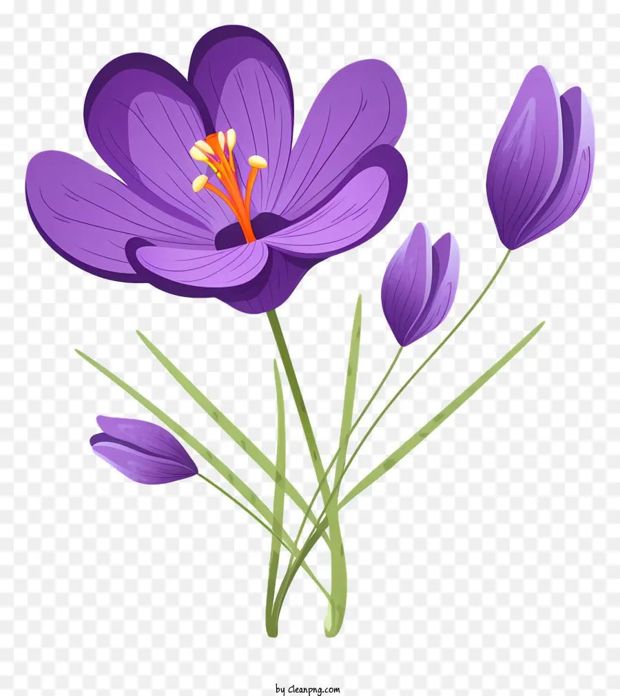 фиолетовый цветок，Три лепестки PNG