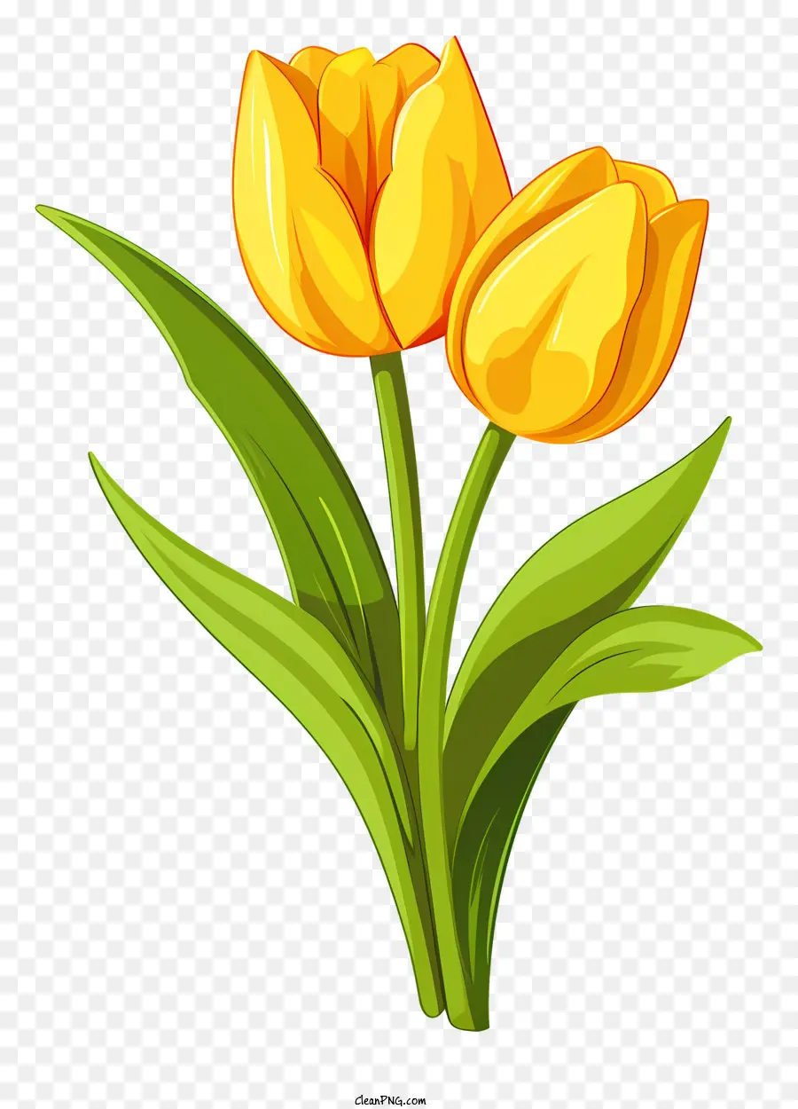 желтые тюльпаны，цветущие тюльпаны PNG