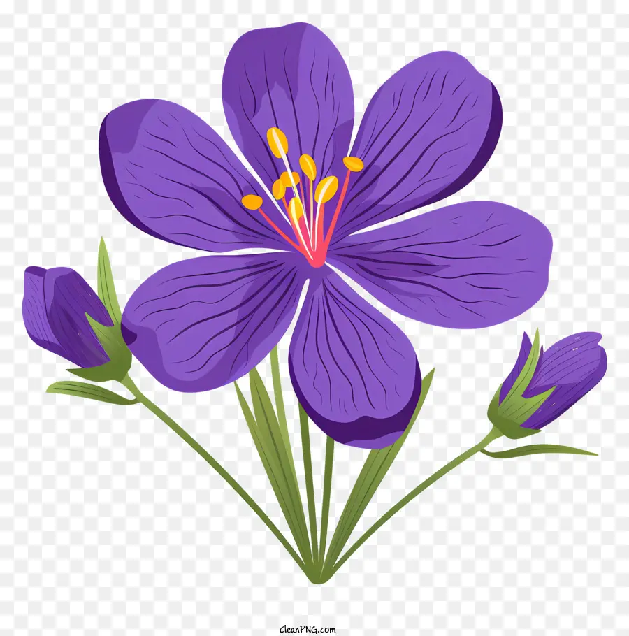 фиолетовый цветок，Четыре лепестки PNG
