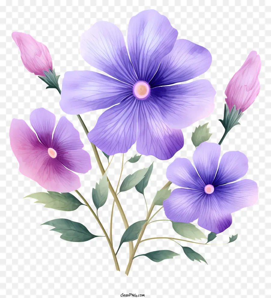 фиолетовые цветы，цветущие цветы PNG