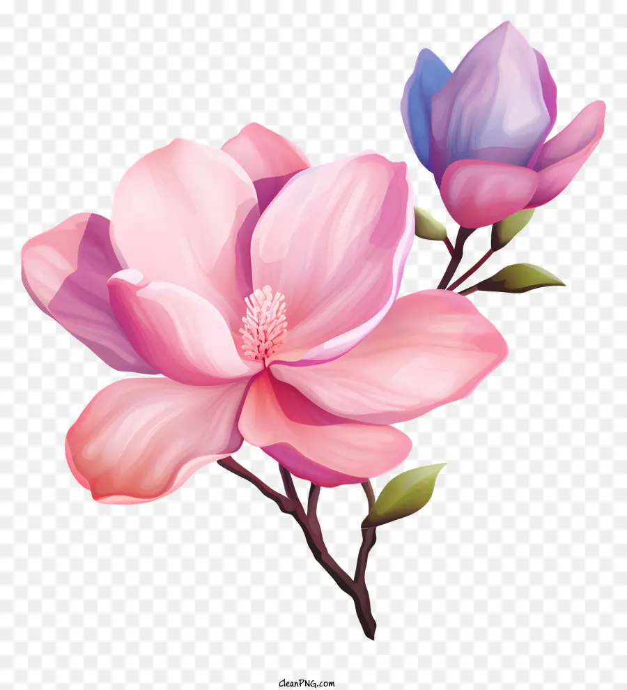 акварельная живопись，розовые и фиолетовые цветы PNG