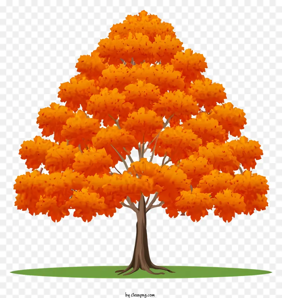 Дерево，оранжевые листья PNG