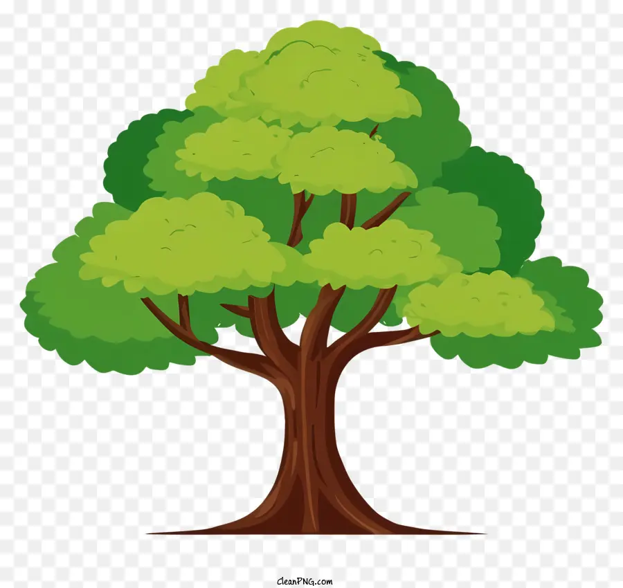 зеленое дерево，большие листья PNG