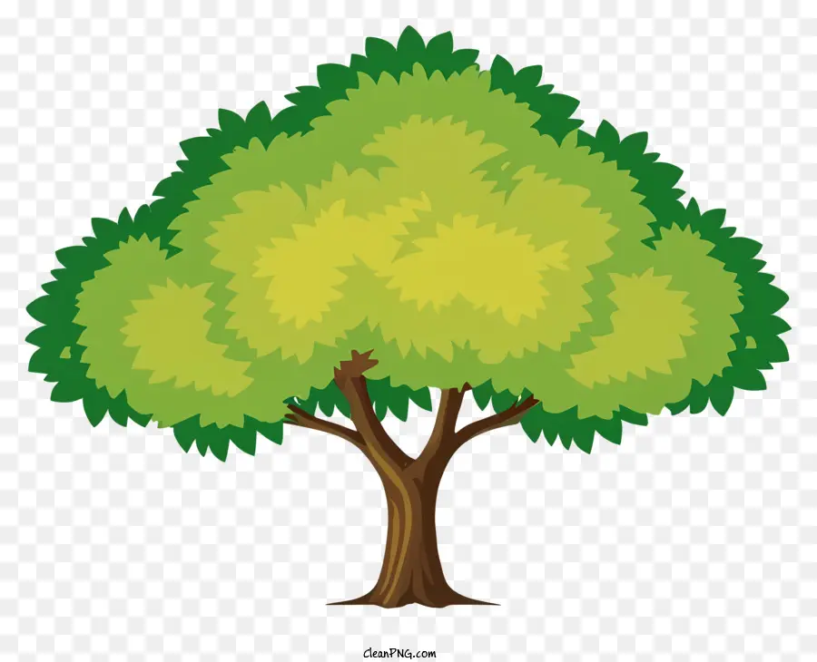 Дерево，пышные зеленые листья PNG