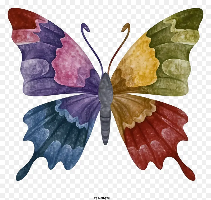 красочные бабочки，разноцветные крылья PNG