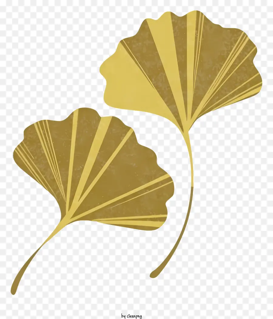 Золотые листья，черный фон PNG