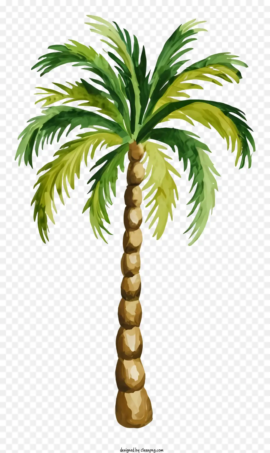 Картина пальма，Тропическая пальма PNG