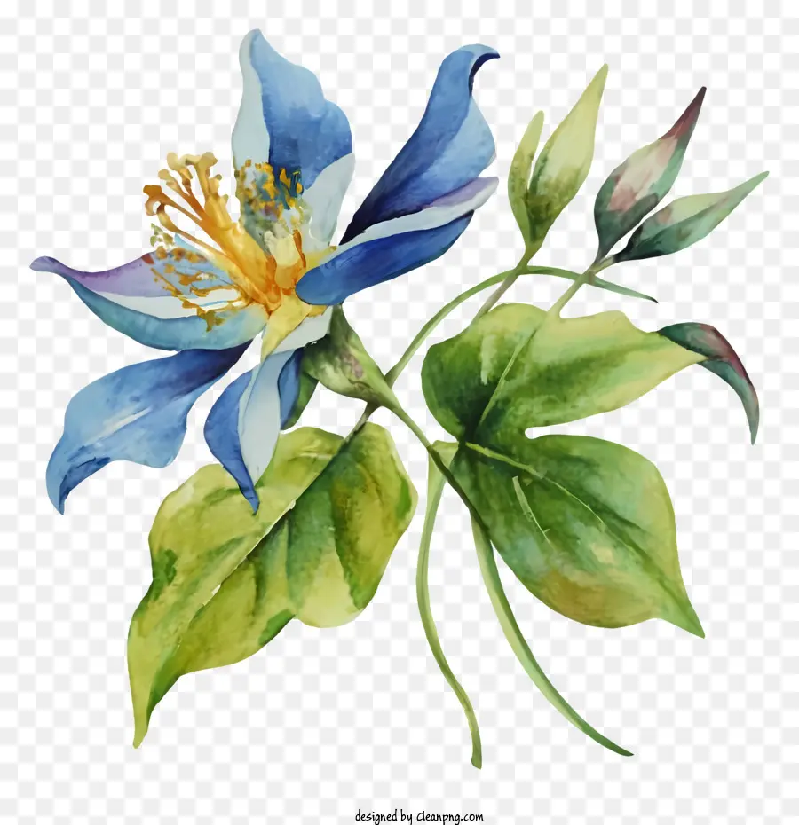 живопись，Голубой цветок PNG