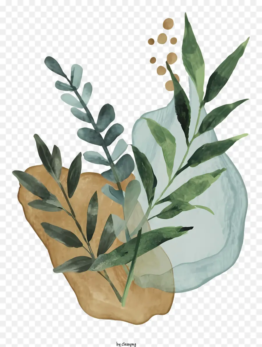 Листовое растение，Круговое растение PNG