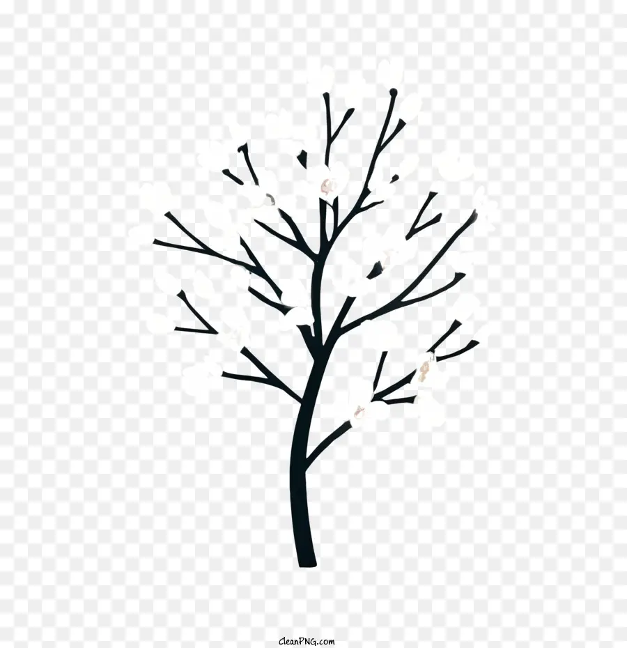 Вишневое дерево，цветущее дерево PNG