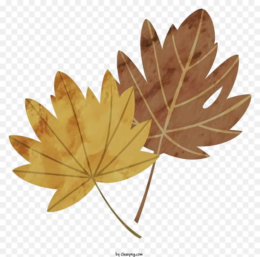 коричневые листья，Сердце в форме листа PNG