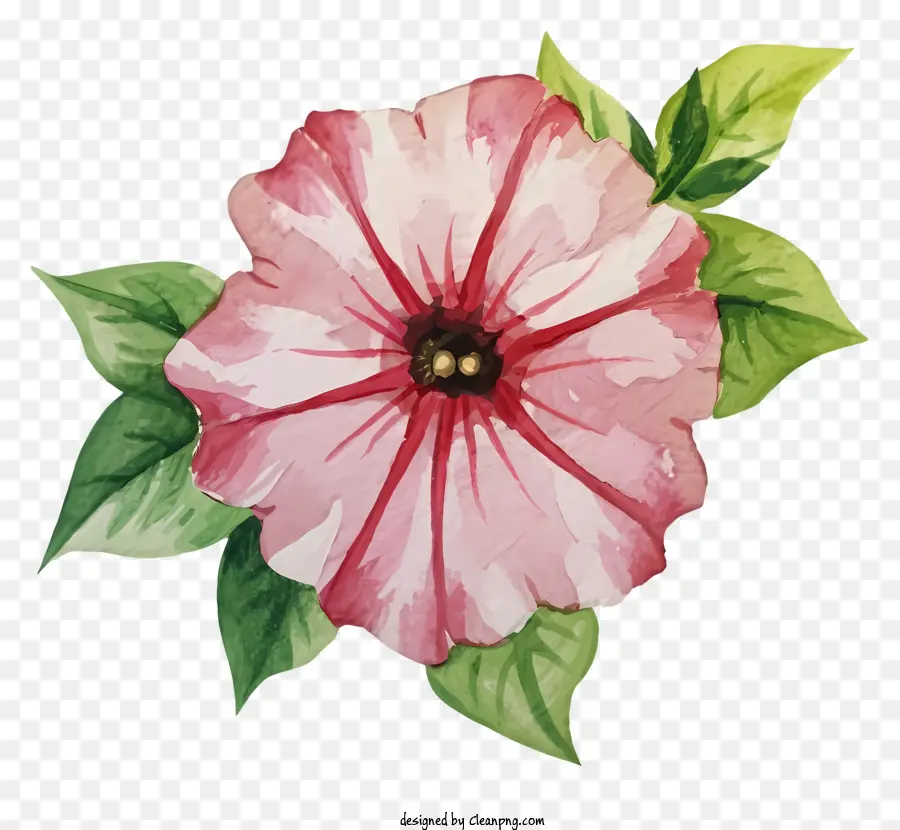 розовый цветок，зеленые листья PNG