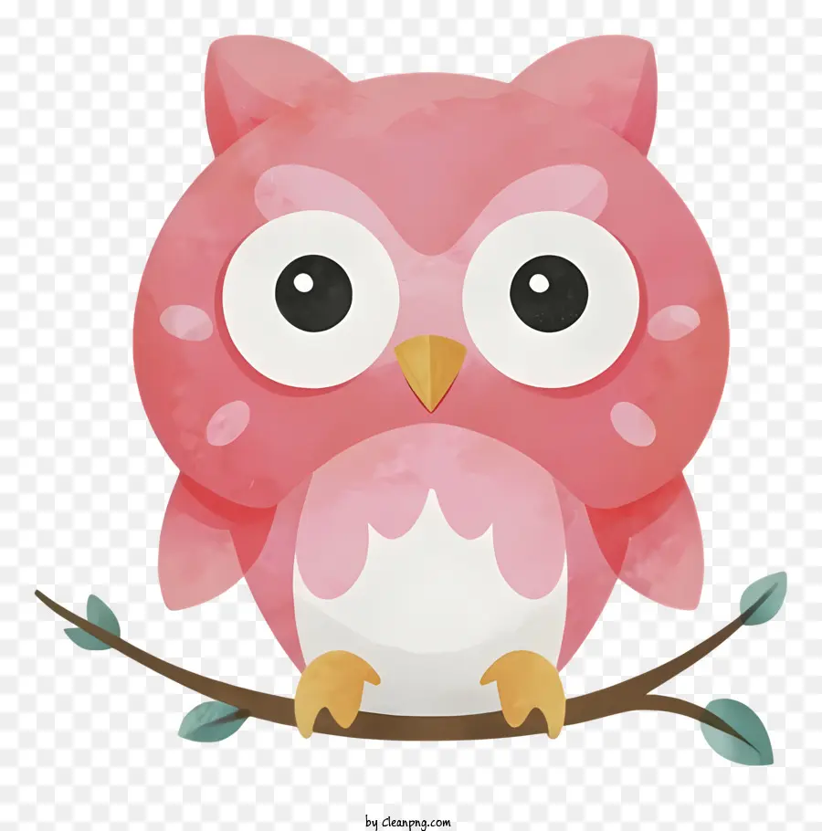 симпатичные сова，розовый сова PNG
