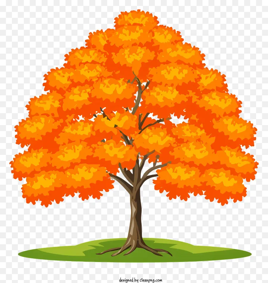 апельсиновое дерево，листья деревьев PNG