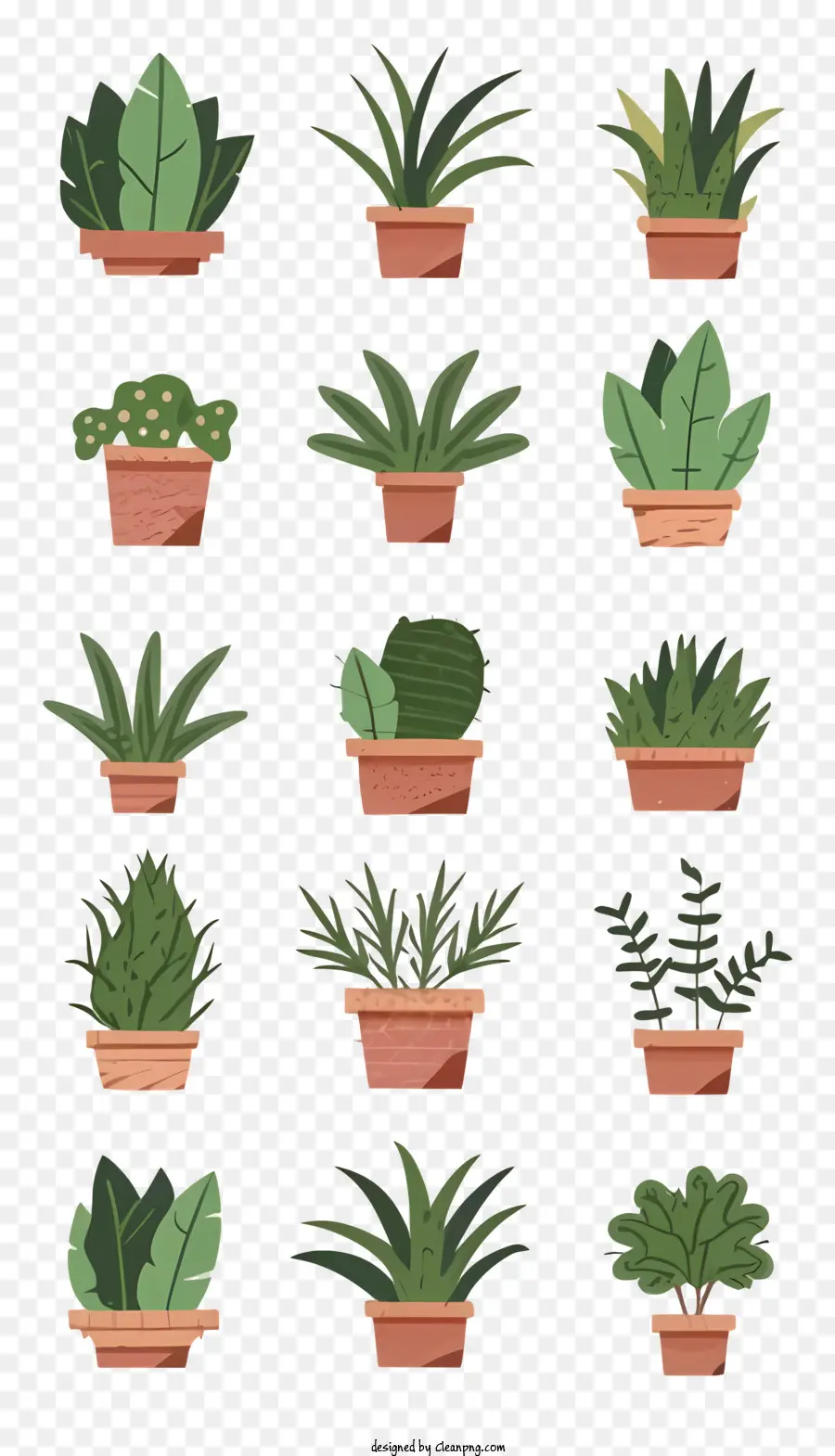 Сочные растения，Cacti PNG