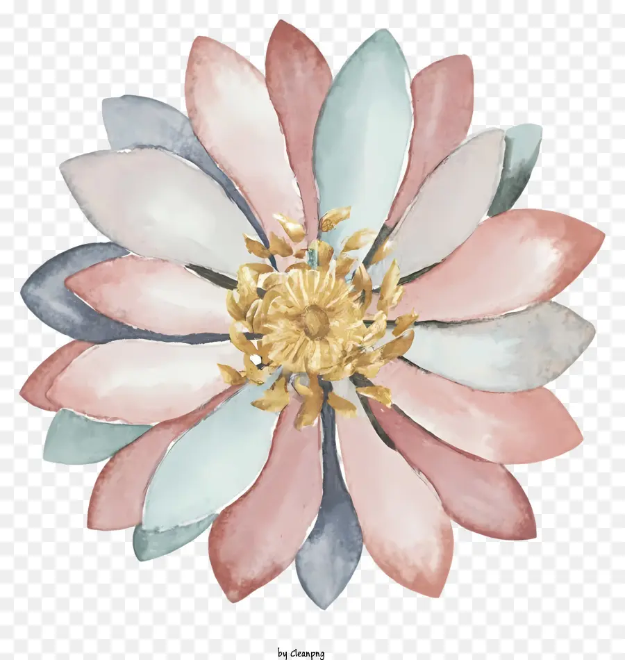 акварельная живопись，розовый и синий цветок PNG