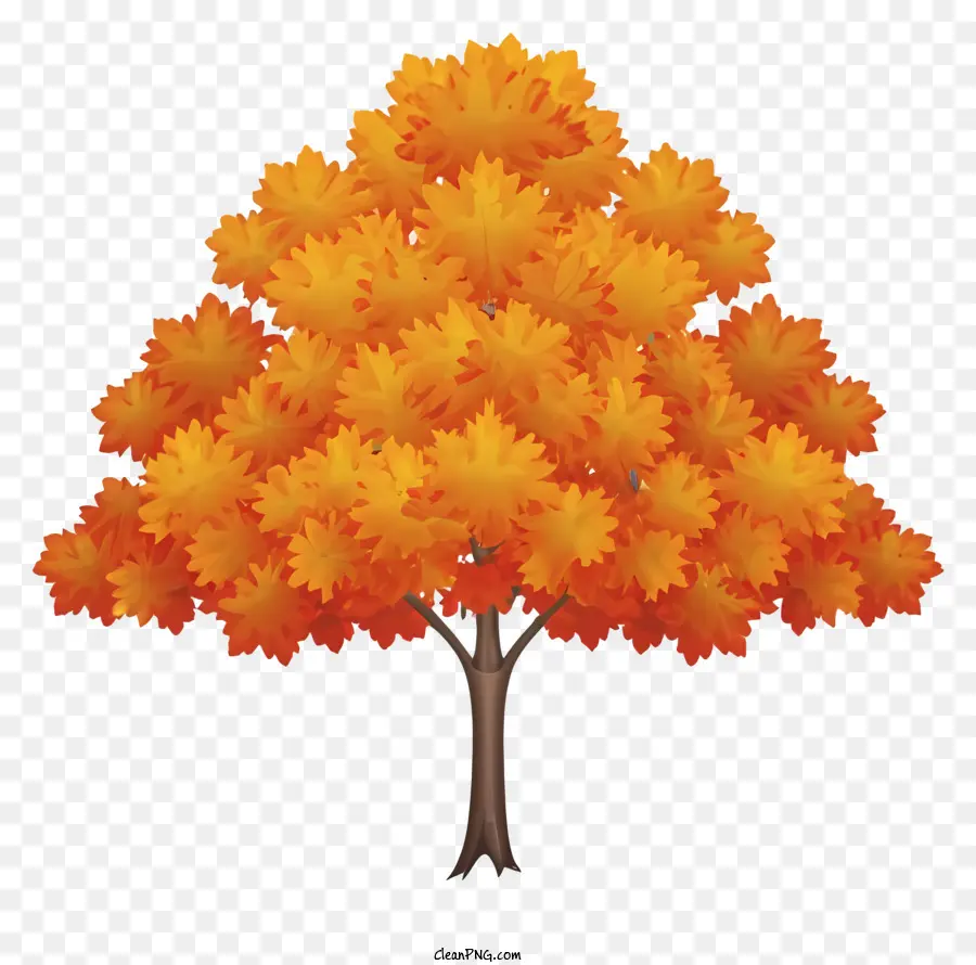 осенняя листва，Осенние Листья PNG