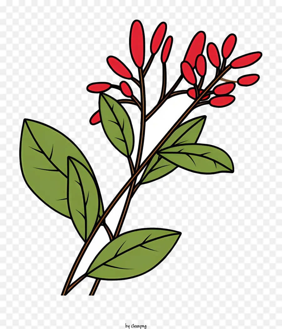Листовое растение，красные цветы PNG
