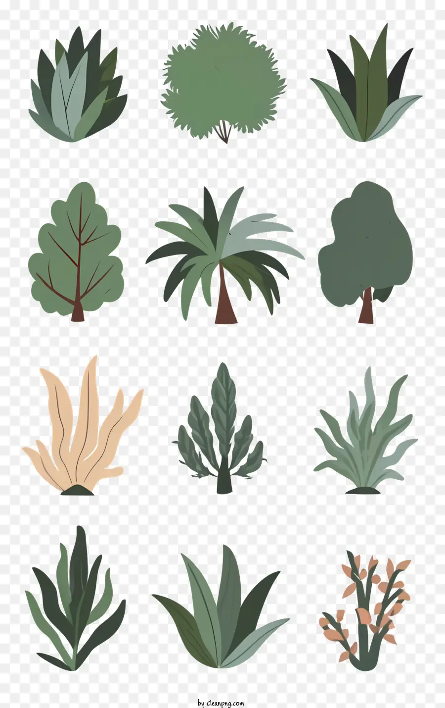плоские растения，разные формы растений PNG