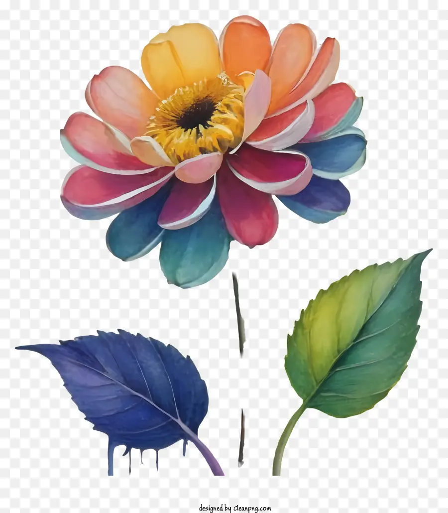 красочный цветок，акварельные краски PNG