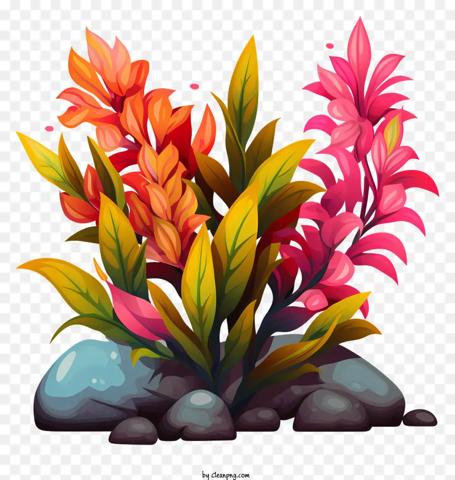 красочные растения，цветы PNG