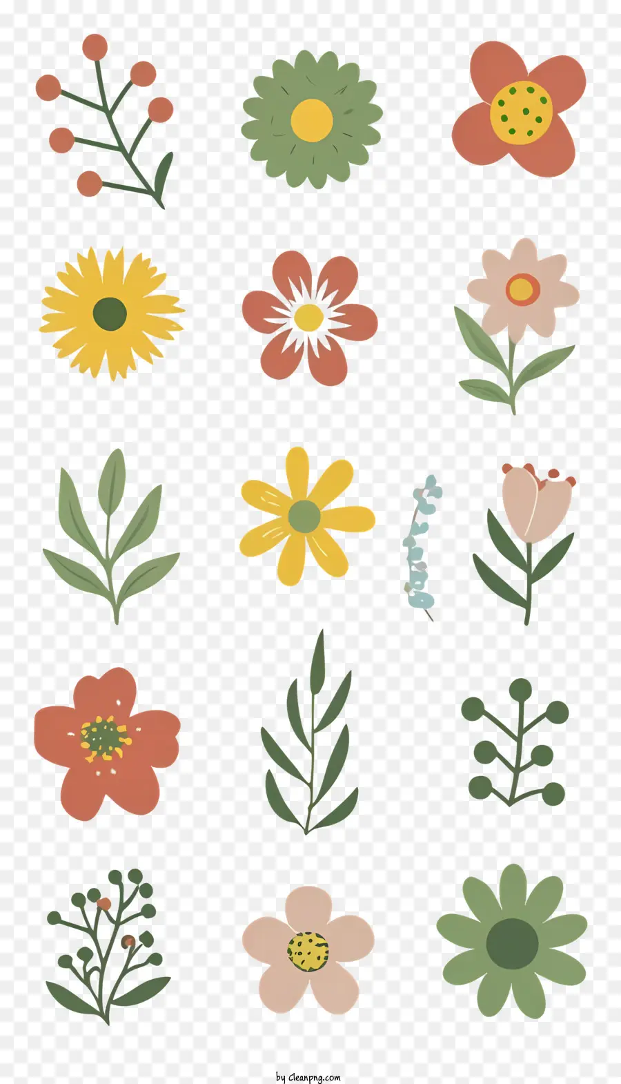 цветы，Типы цветов PNG