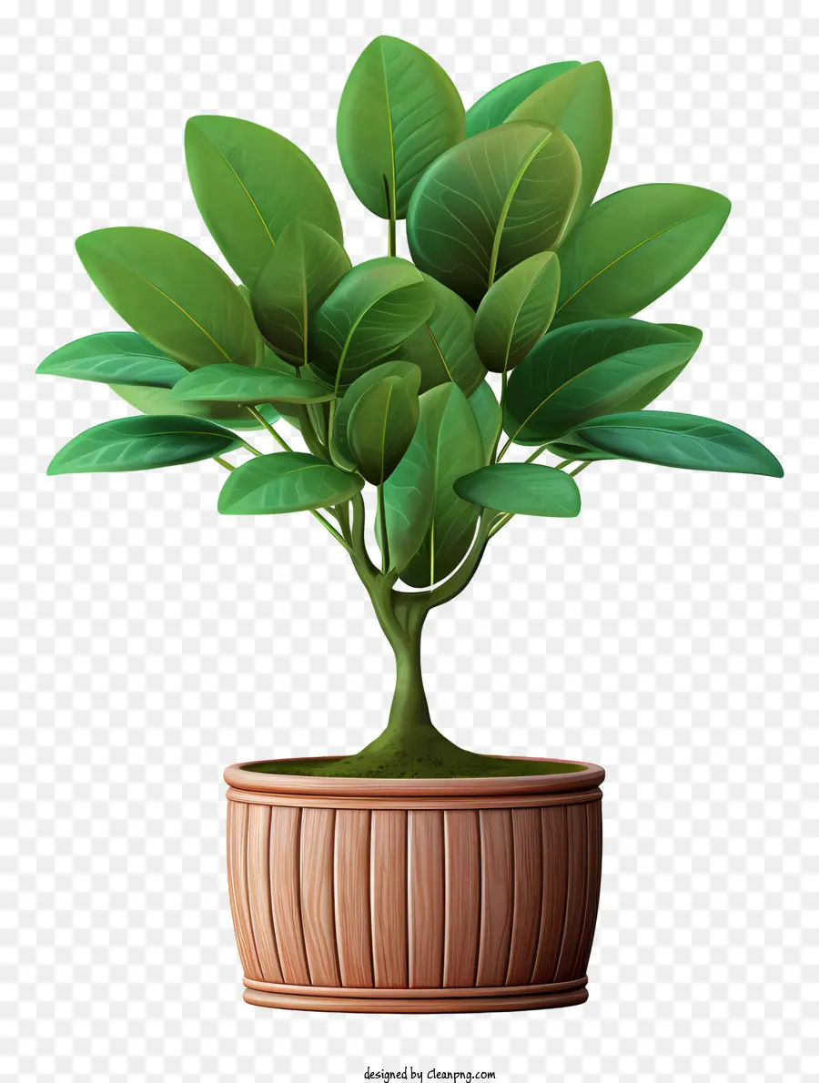 зеленое растение，горшок с дренажным отверстием PNG