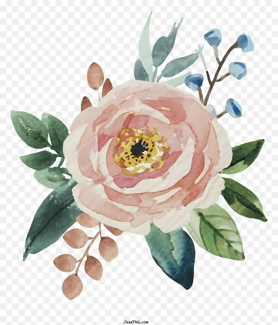 розовый цветок，Пион PNG