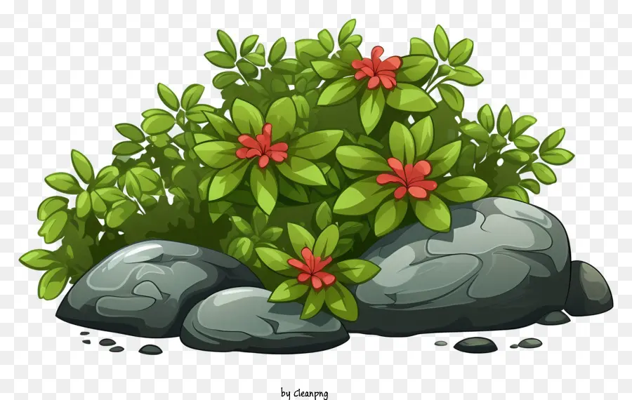 Зеленый куст，красные цветы PNG