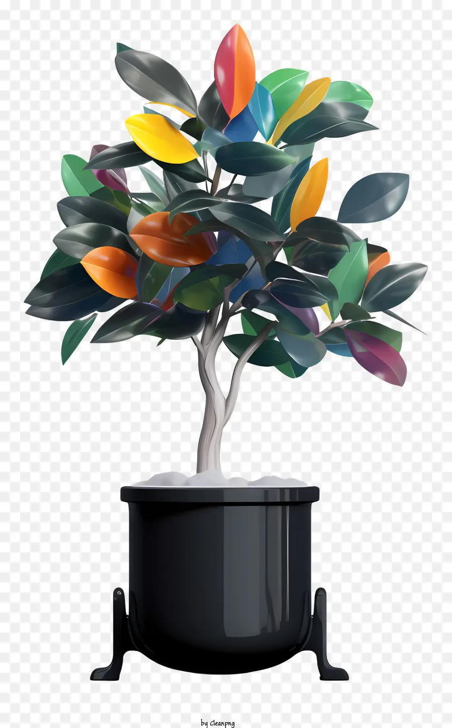 дерево с черным горшком，Цвета листьев зеленые PNG